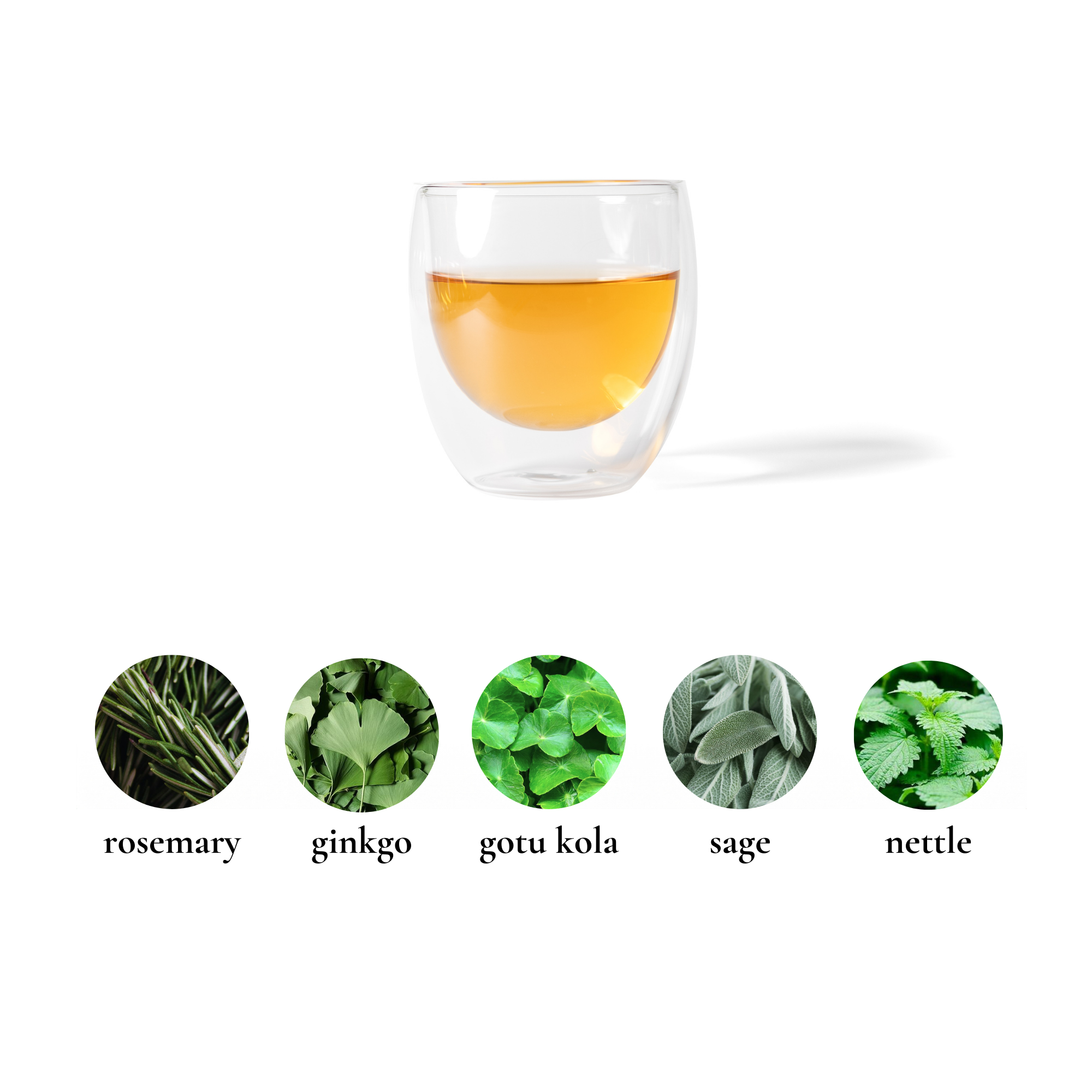 Focus Rosemary Ginkgo Sage Gotu Kola Nettle