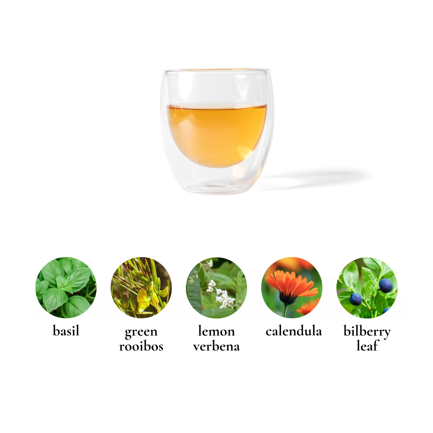 Rejuvenate Rooibos Lemon Verbena Calendula Bilberry Basil